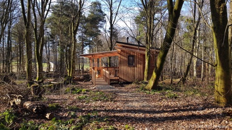 Wooden cabin in woods